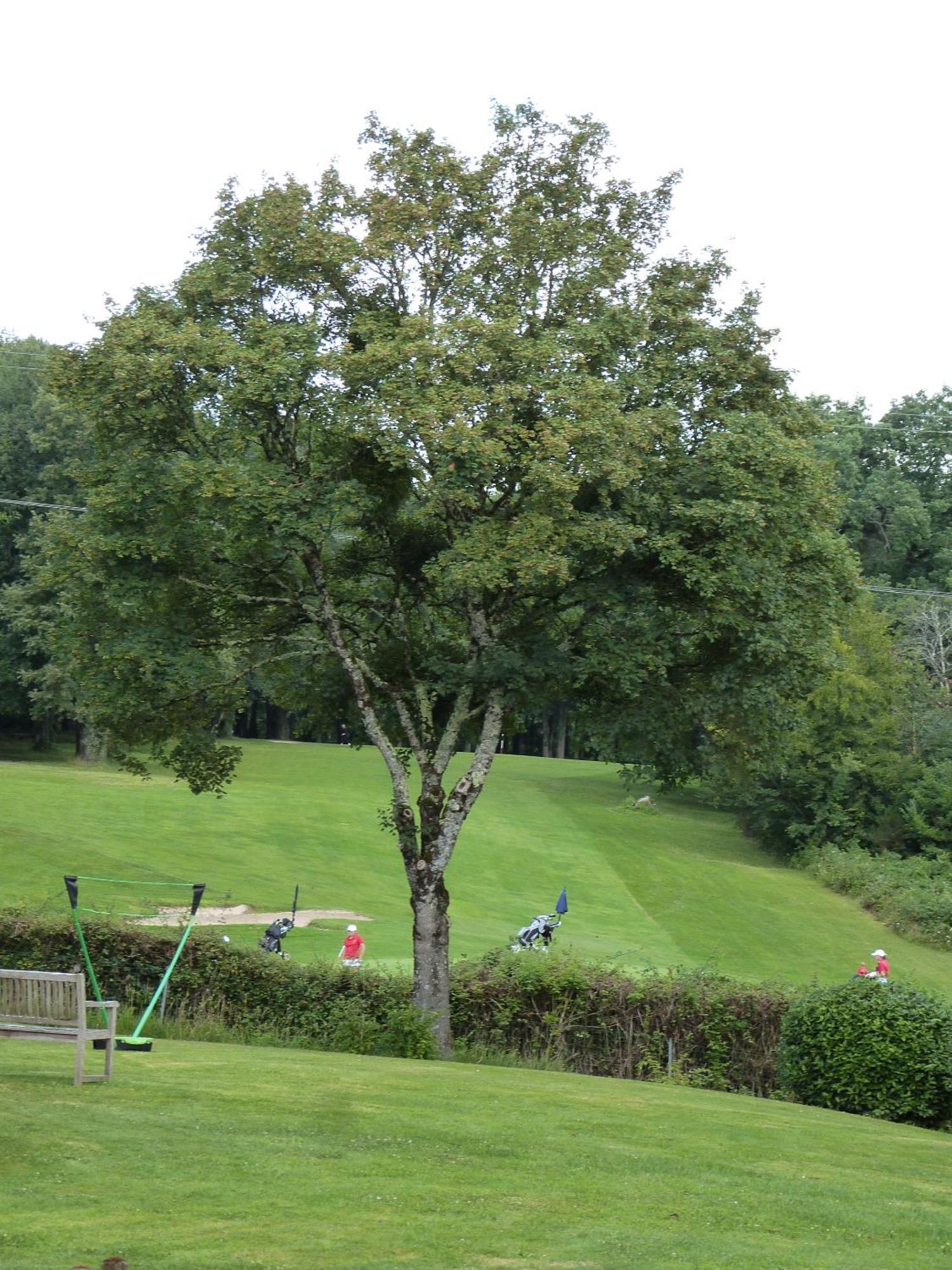 Le Logis De La Brumanderie - Saintes Fontcouverte  外观 照片