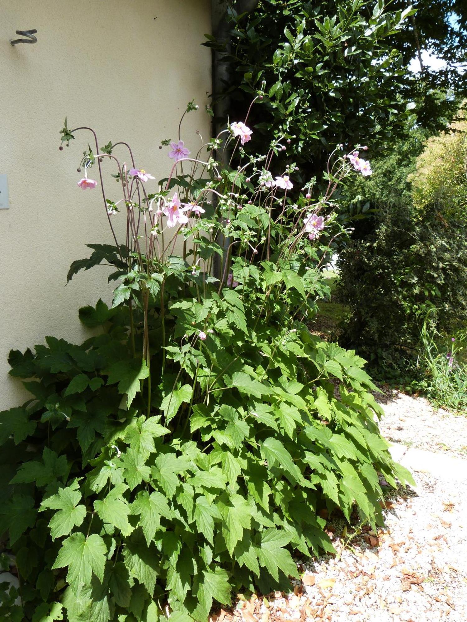 Le Logis De La Brumanderie - Saintes Fontcouverte  客房 照片