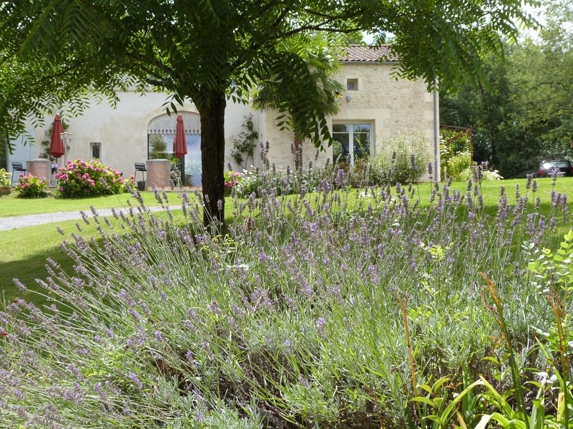 Le Logis De La Brumanderie - Saintes Fontcouverte  外观 照片